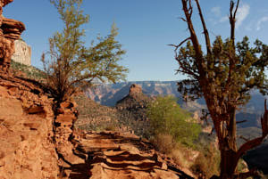 grand canyon<br>NIKON D200, 20 mm, 100 ISO,  1/400 sec,  f : 5.6 